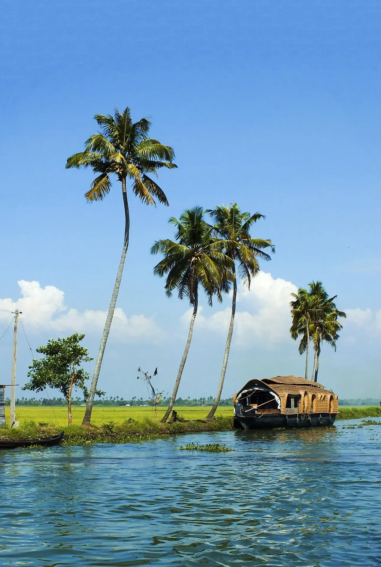 Alleppey — Kerala tour destination