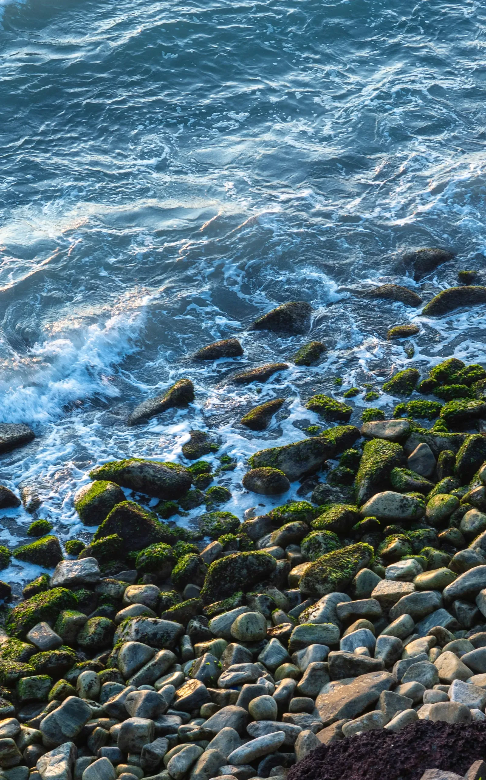 Varkala — Kerala tour destination